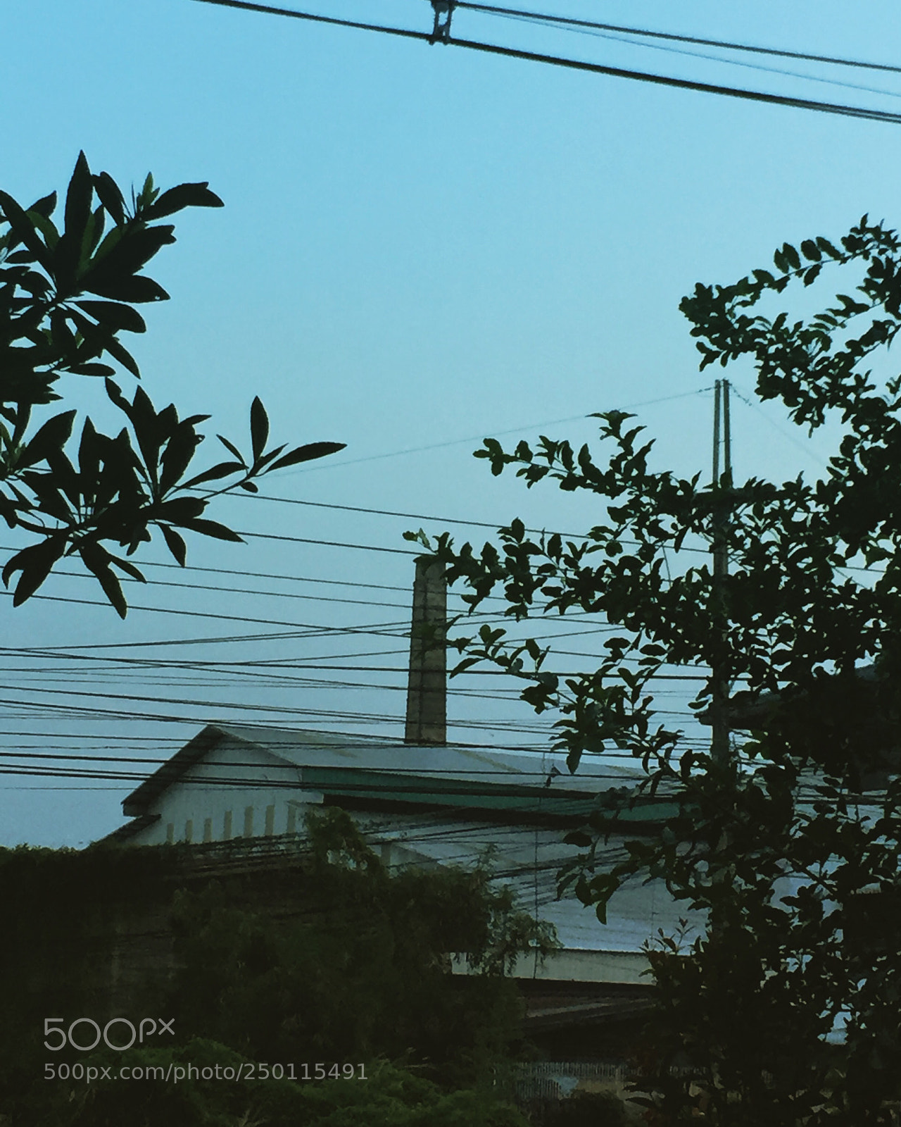 Apple iPhone 6 sample photo. Untitled photography