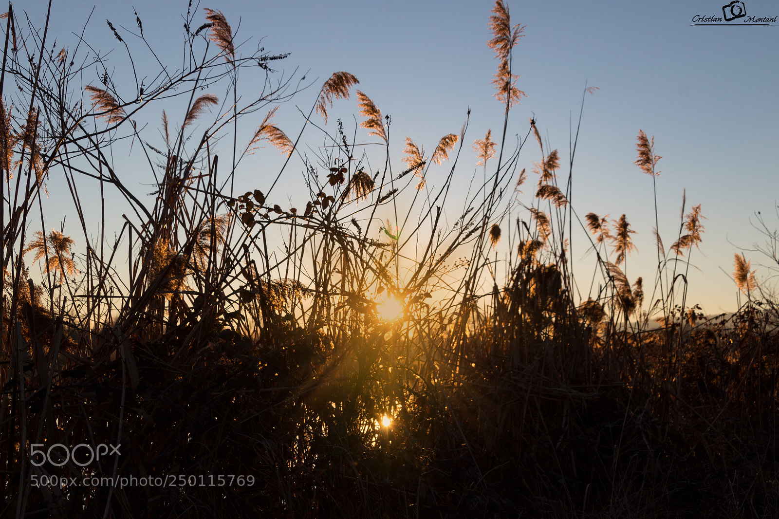 Canon EOS 1300D (EOS Rebel T6 / EOS Kiss X80) sample photo. Hidden sunset photography