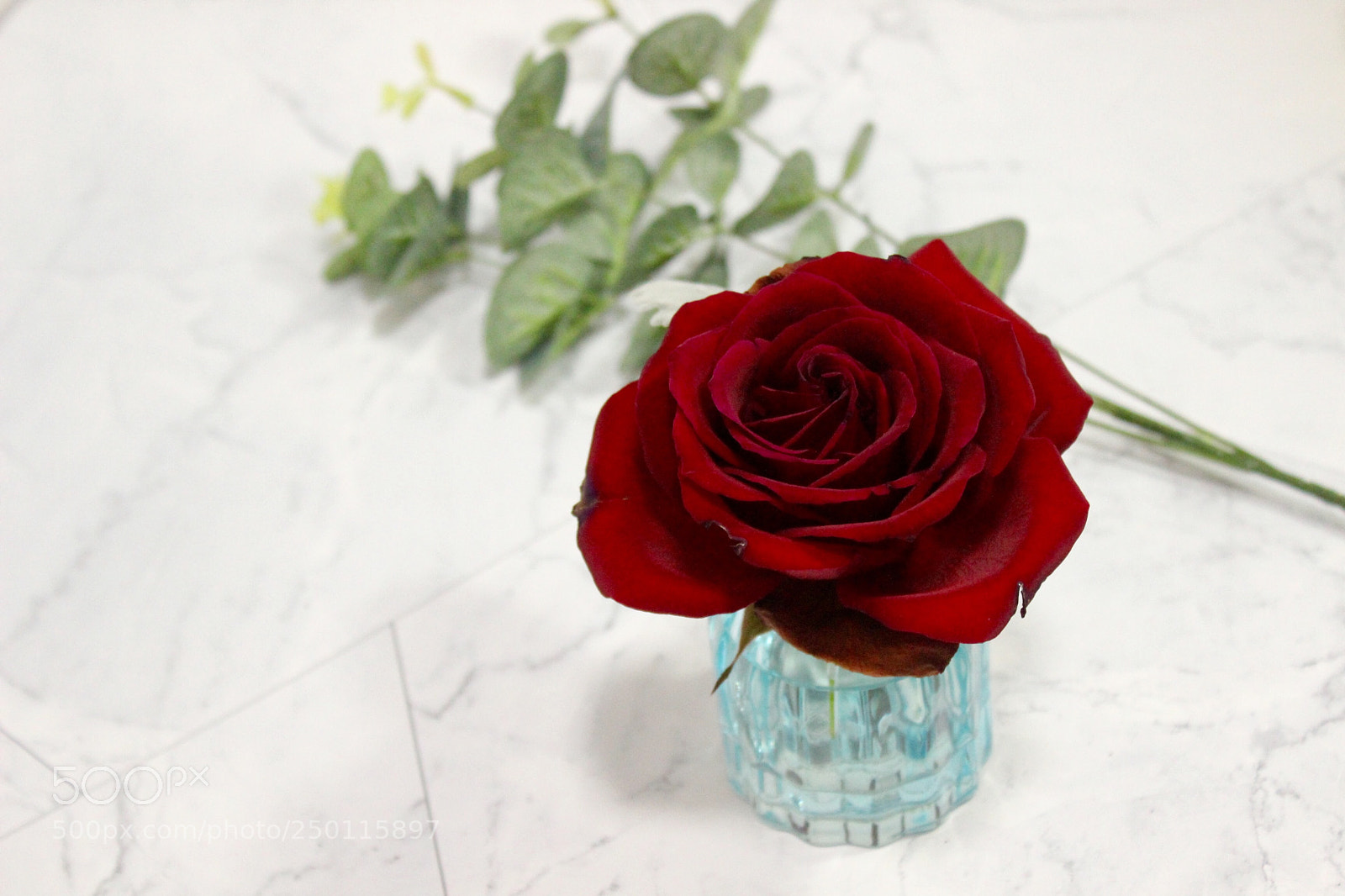 Canon EOS 600D (Rebel EOS T3i / EOS Kiss X5) sample photo. Table rhythm 001 photography