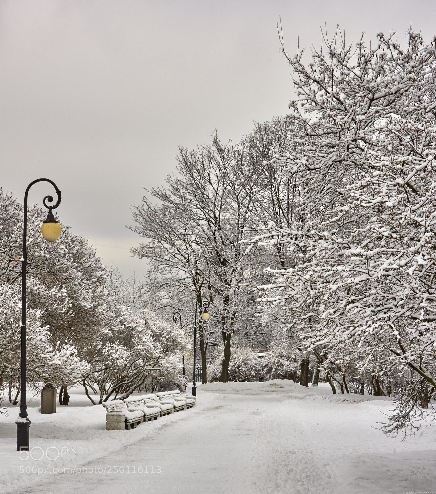 Nikon D810 sample photo. Snow only photography