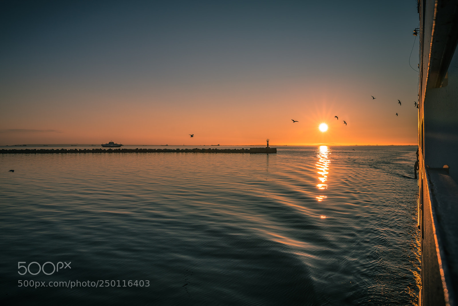 Canon EOS 5DS R sample photo. Good morning! photography