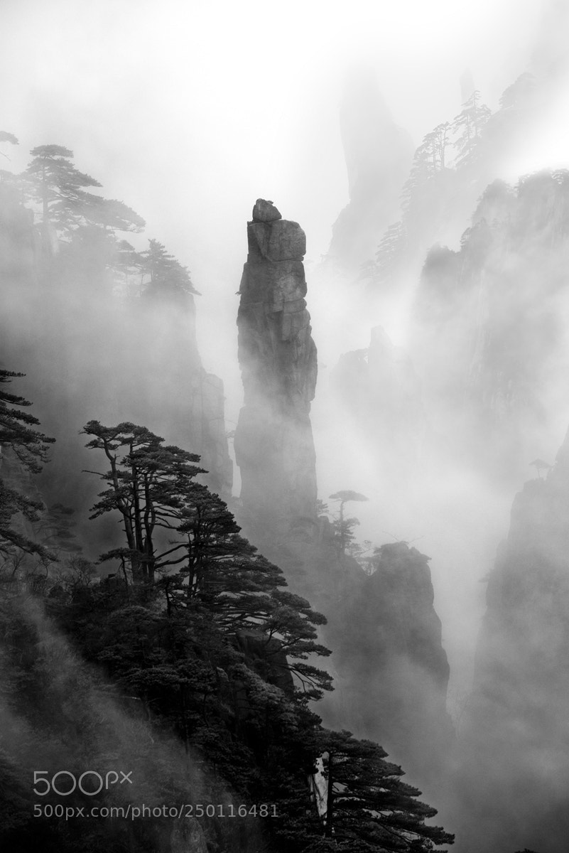 Nikon D800E sample photo. 黄山风光 photography