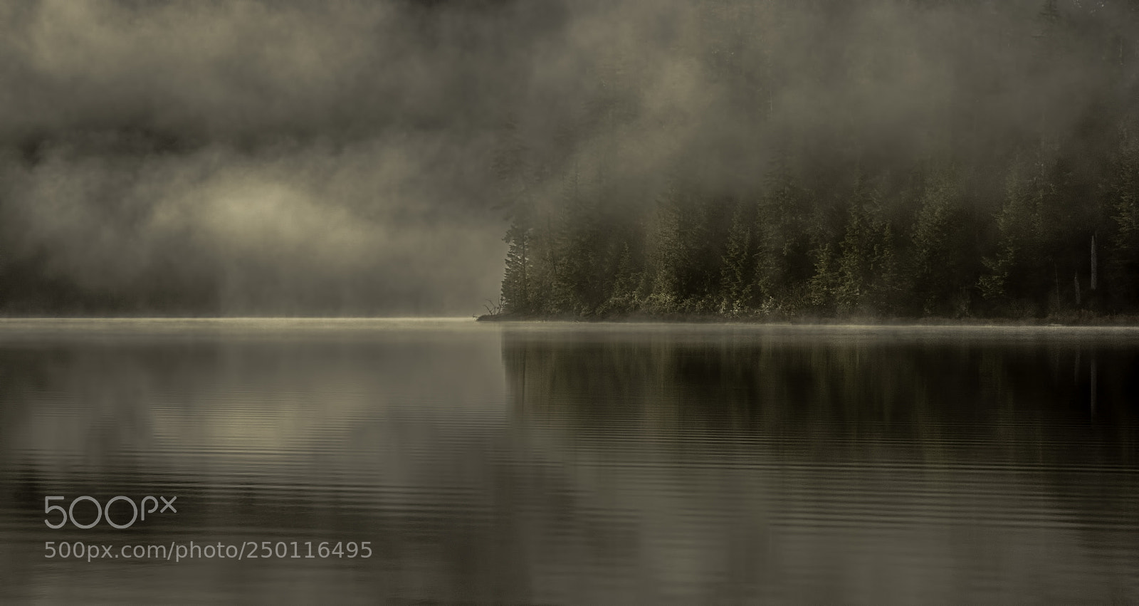 Sony a7R sample photo. Fog lifting photography