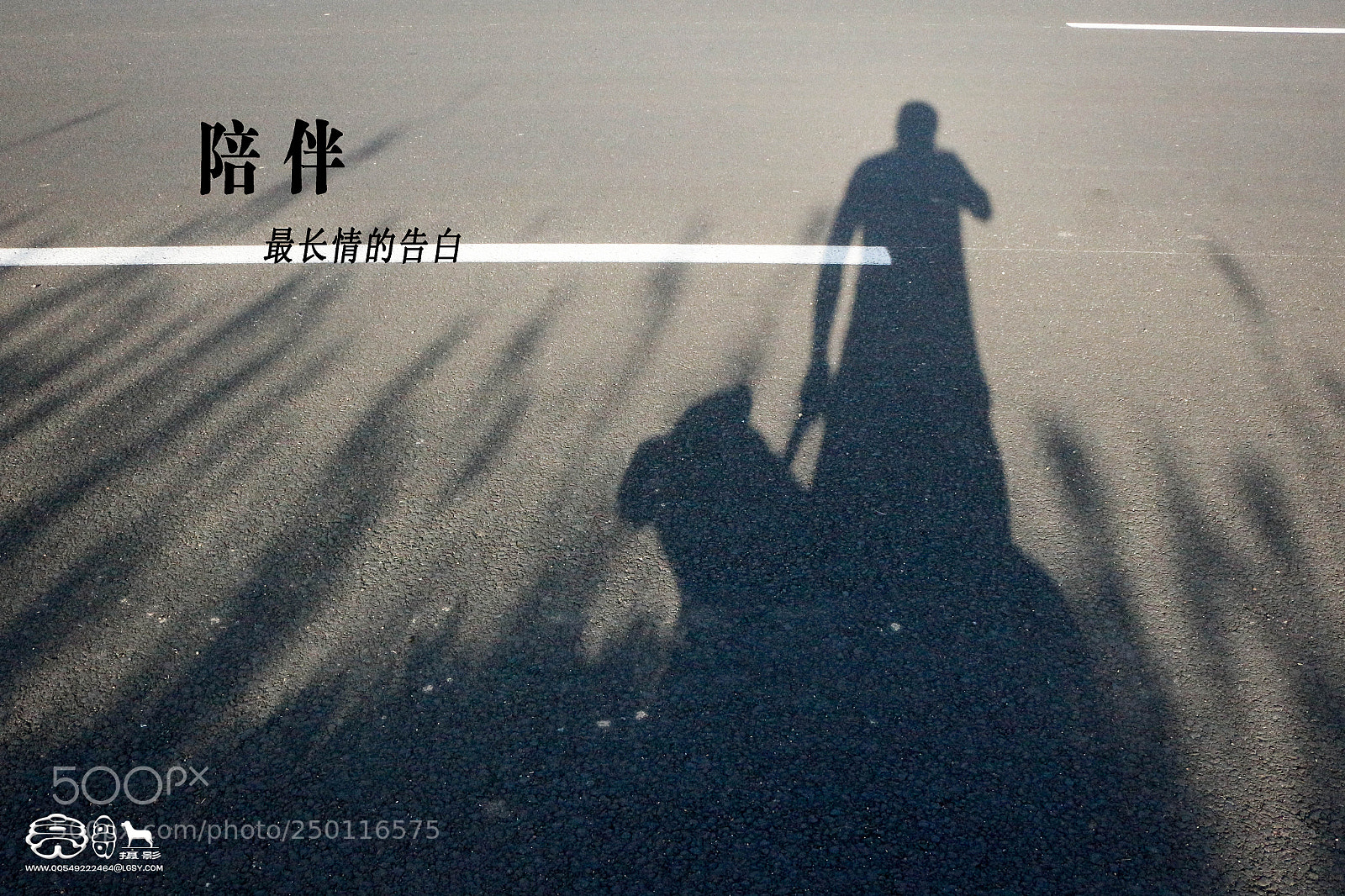 Canon EOS 700D (EOS Rebel T5i / EOS Kiss X7i) sample photo. 犬 人类的好伙伴 photography