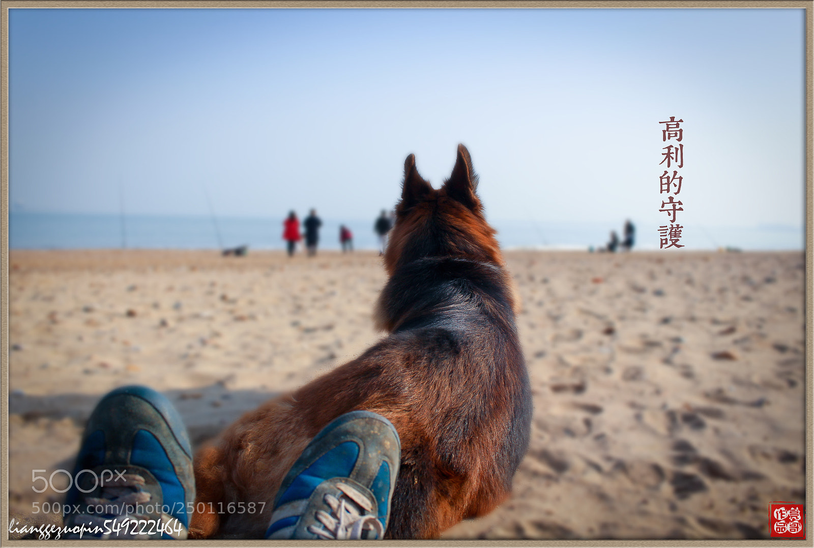 Canon EOS 700D (EOS Rebel T5i / EOS Kiss X7i) sample photo. 犬 人类的好伙伴 photography