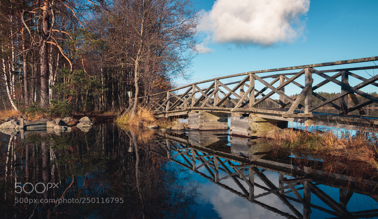 Canon EOS 80D sample photo. Autumn bridge photography