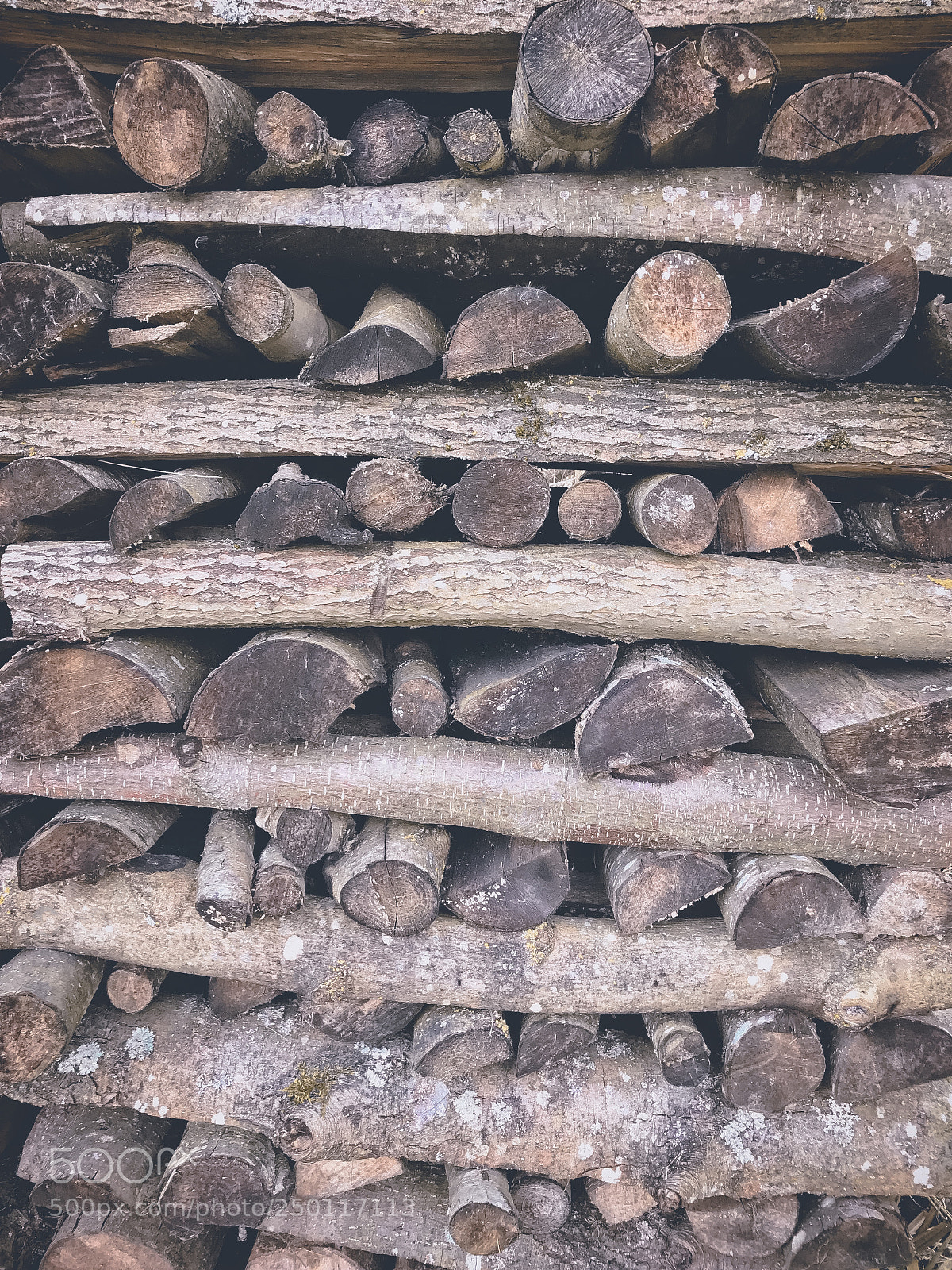 Apple iPhone 7 sample photo. Fire wood background photography