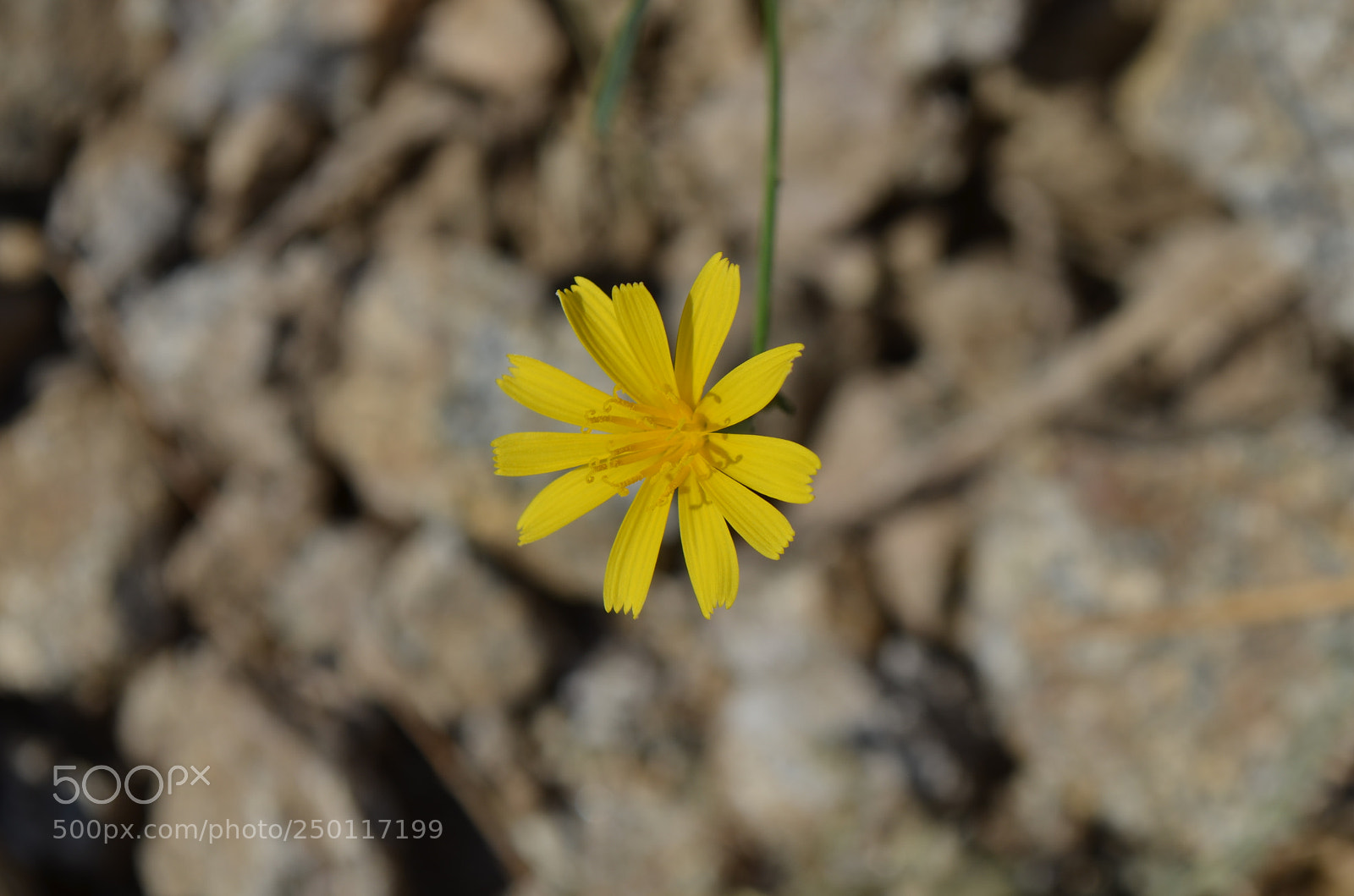 Nikon D5100 sample photo. Untitled photography