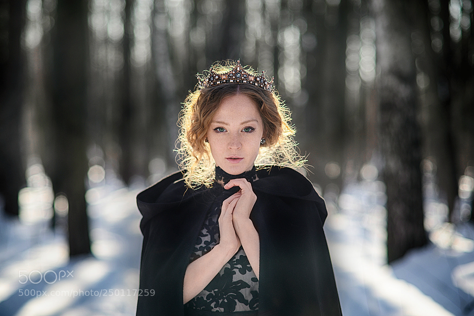 Nikon D600 sample photo. In the magic forest photography