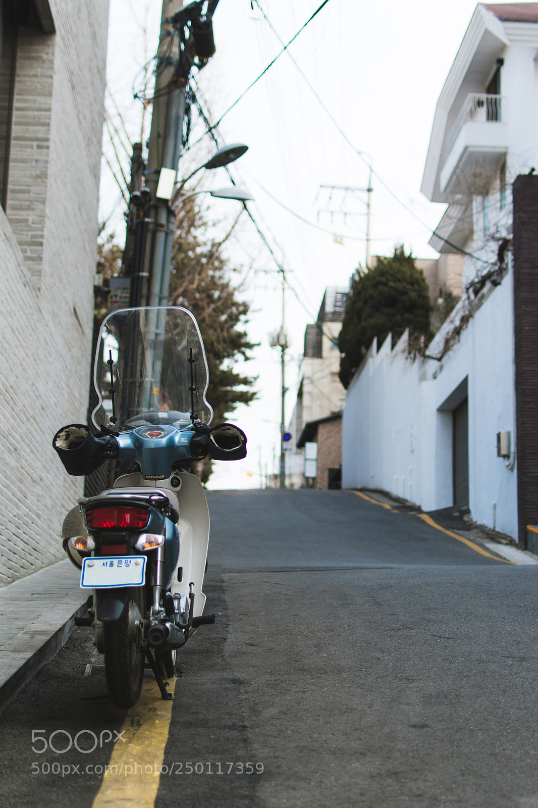 Nikon D5600 sample photo. Bike in neighbourhood photography