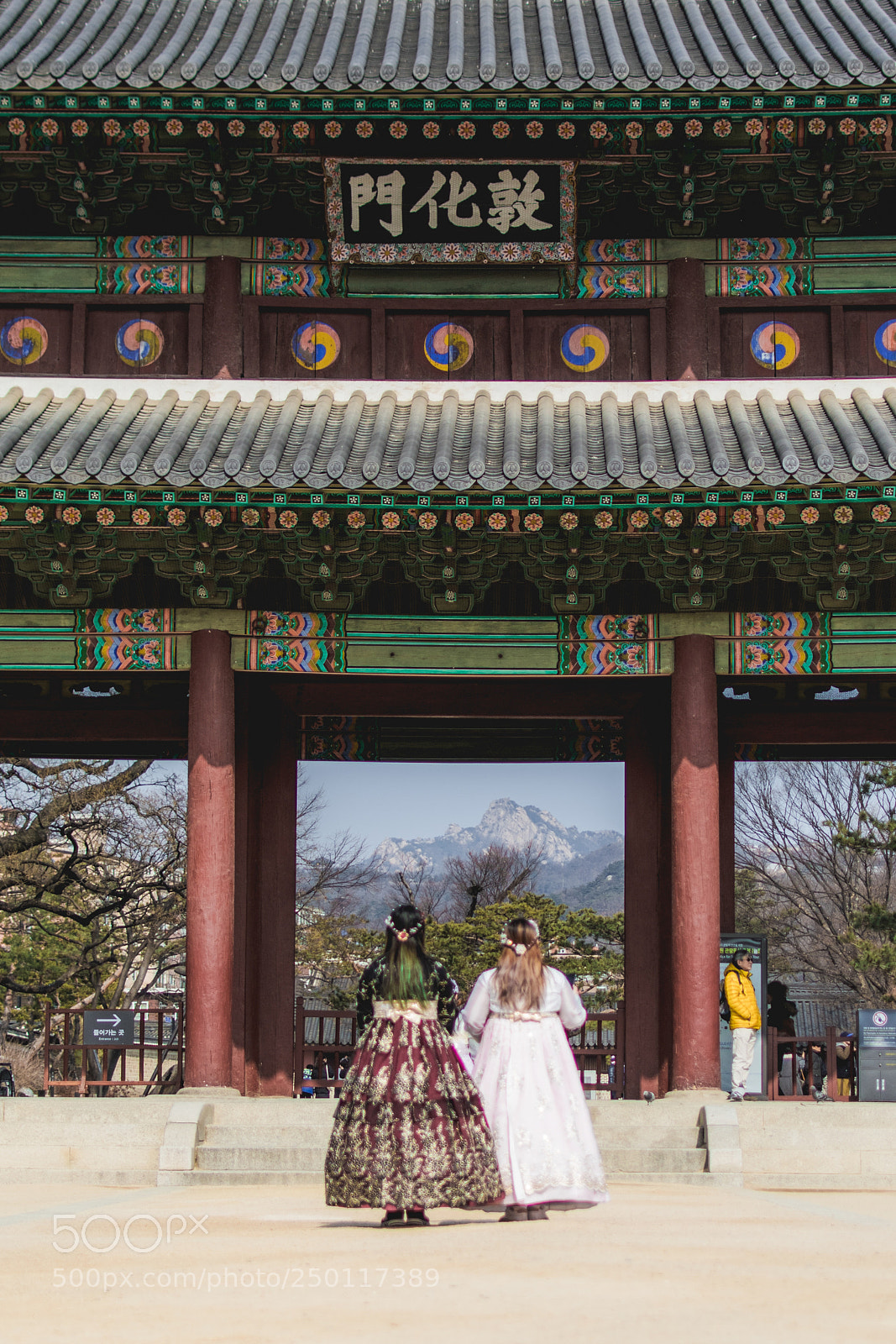 Nikon D5600 sample photo. Culture in palace photography
