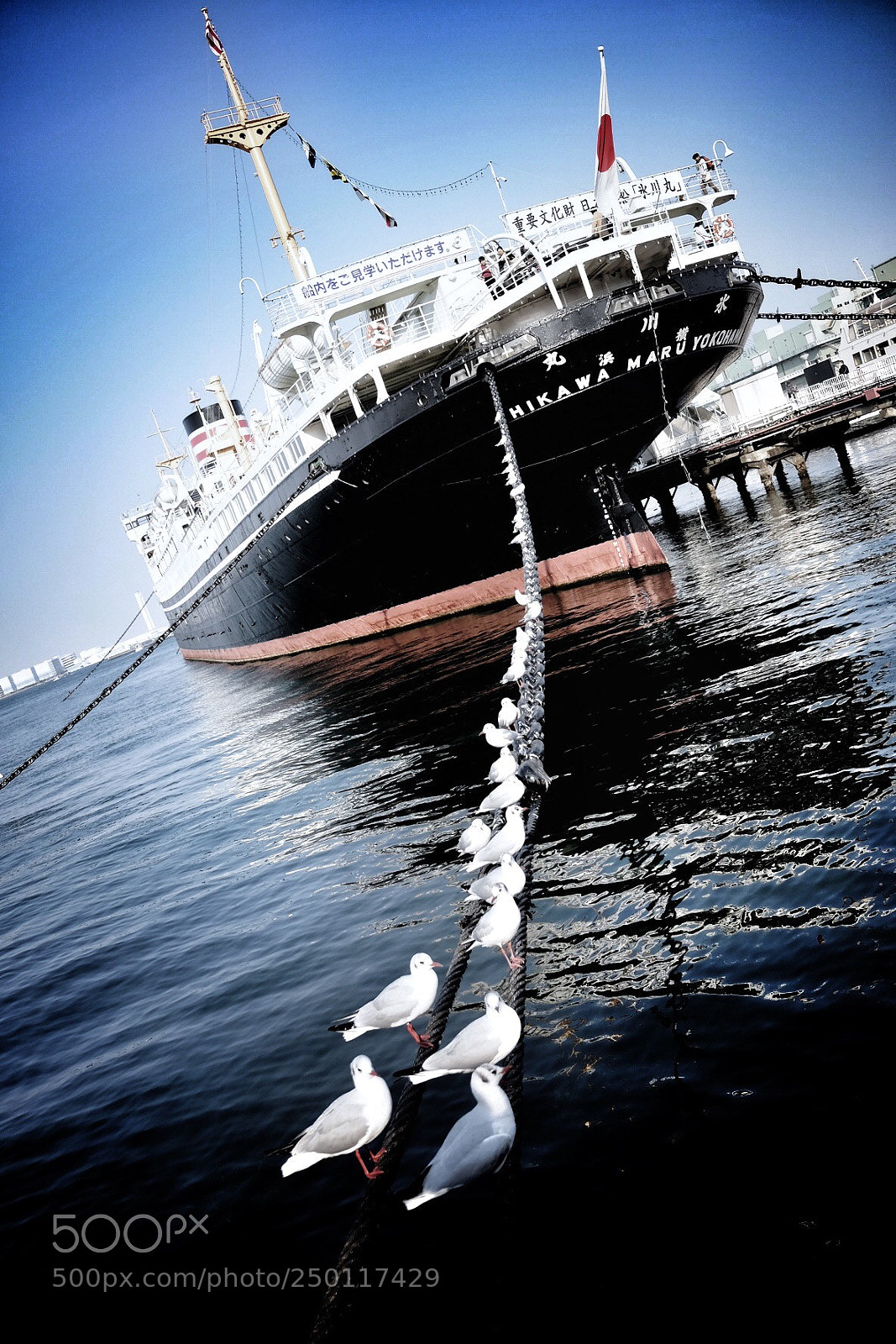 Fujifilm X70 sample photo. The ship with birds photography