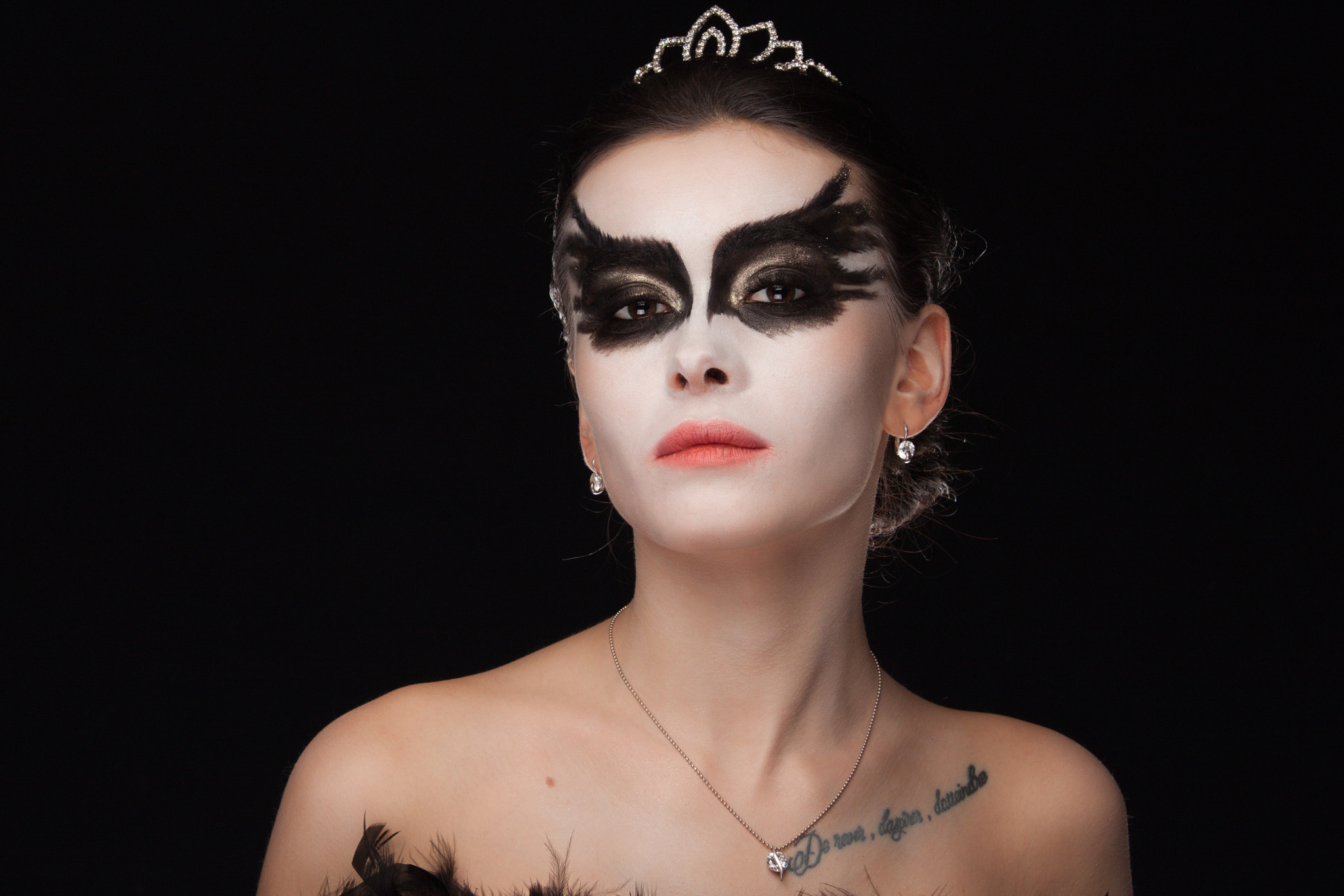 Canon EOS 500D (EOS Rebel T1i / EOS Kiss X3) sample photo. Black swan  photography