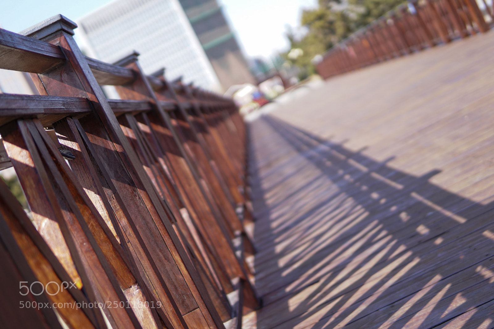 Sony a6000 sample photo. 延伸 photography