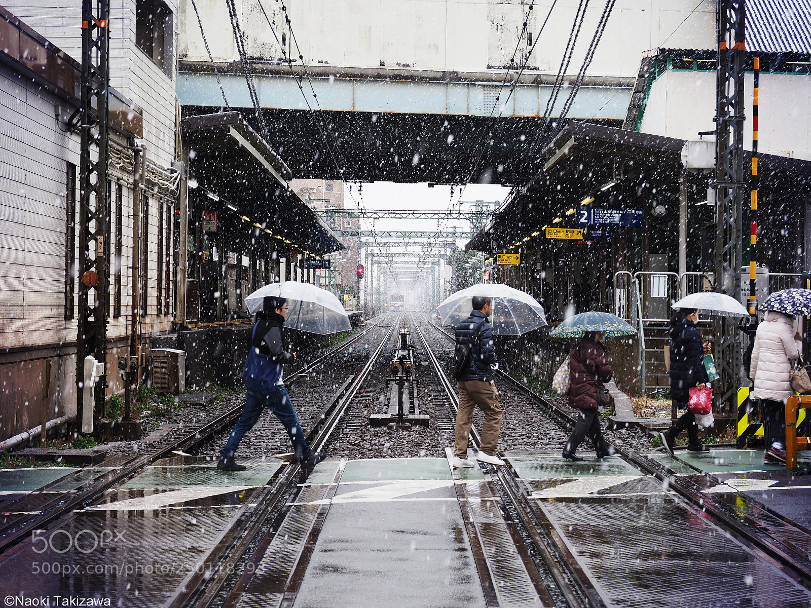 Olympus OM-D E-M1 Mark II sample photo. Snow day photography