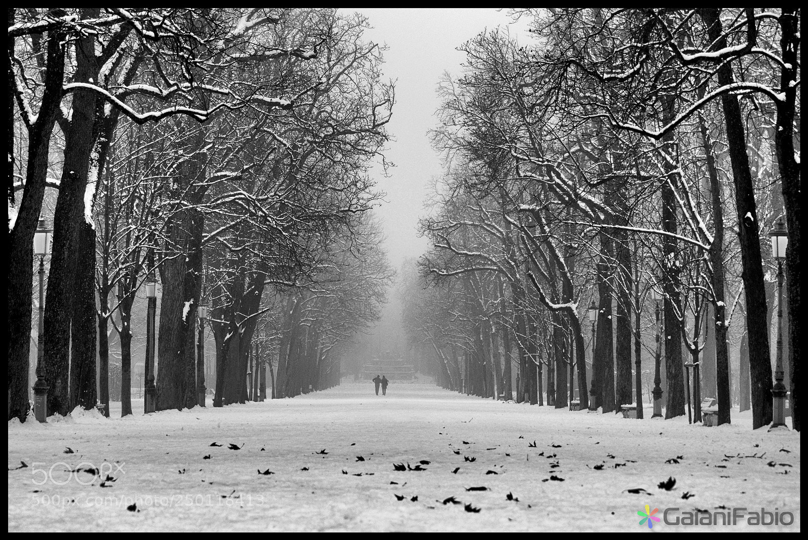Nikon D7000 sample photo. Lungo il viale photography