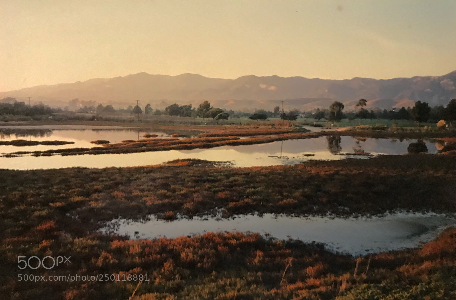 Apple iPhone 7 Plus sample photo. Devereux slough, goleta, california 1987 photography