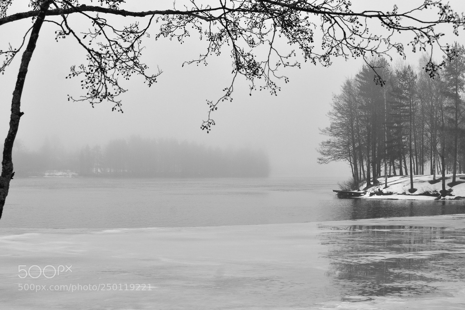 Nikon D7200 sample photo. Misty photography