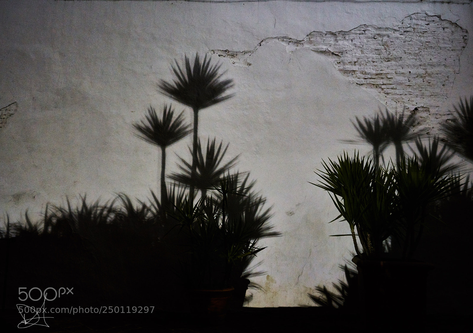 Sony a7R III sample photo. Untitled photography