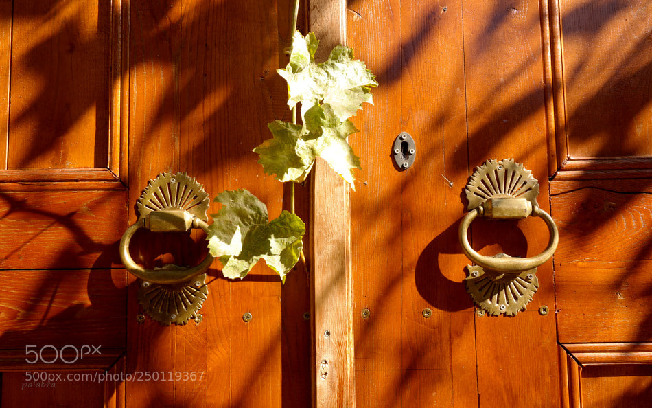 Samsung NX30 sample photo. ... photography