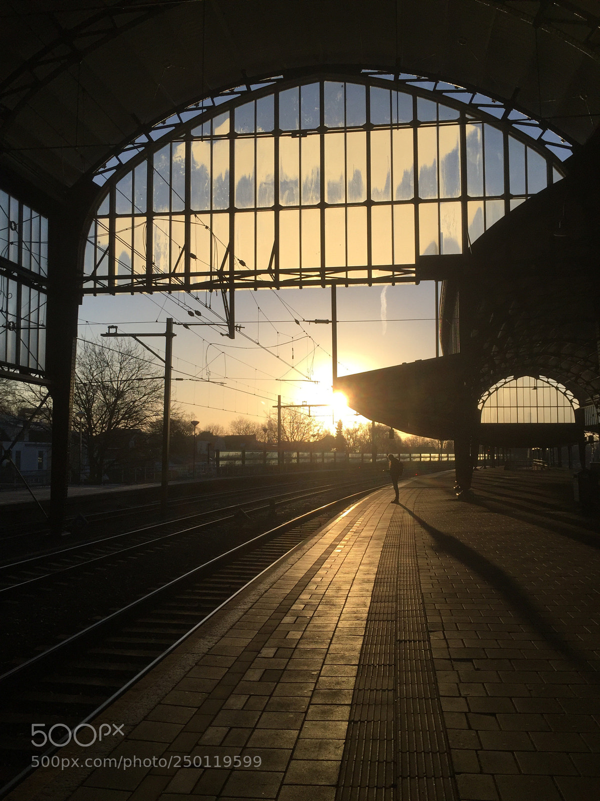 Apple iPhone 6 sample photo. Morningsun photography