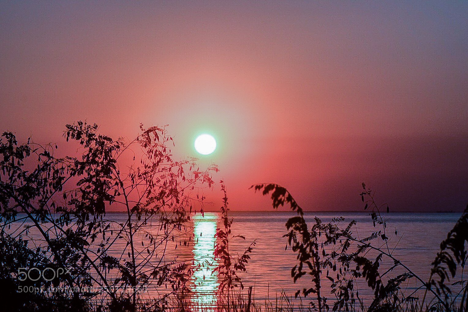 Nikon D3300 sample photo. Red sunset on the photography