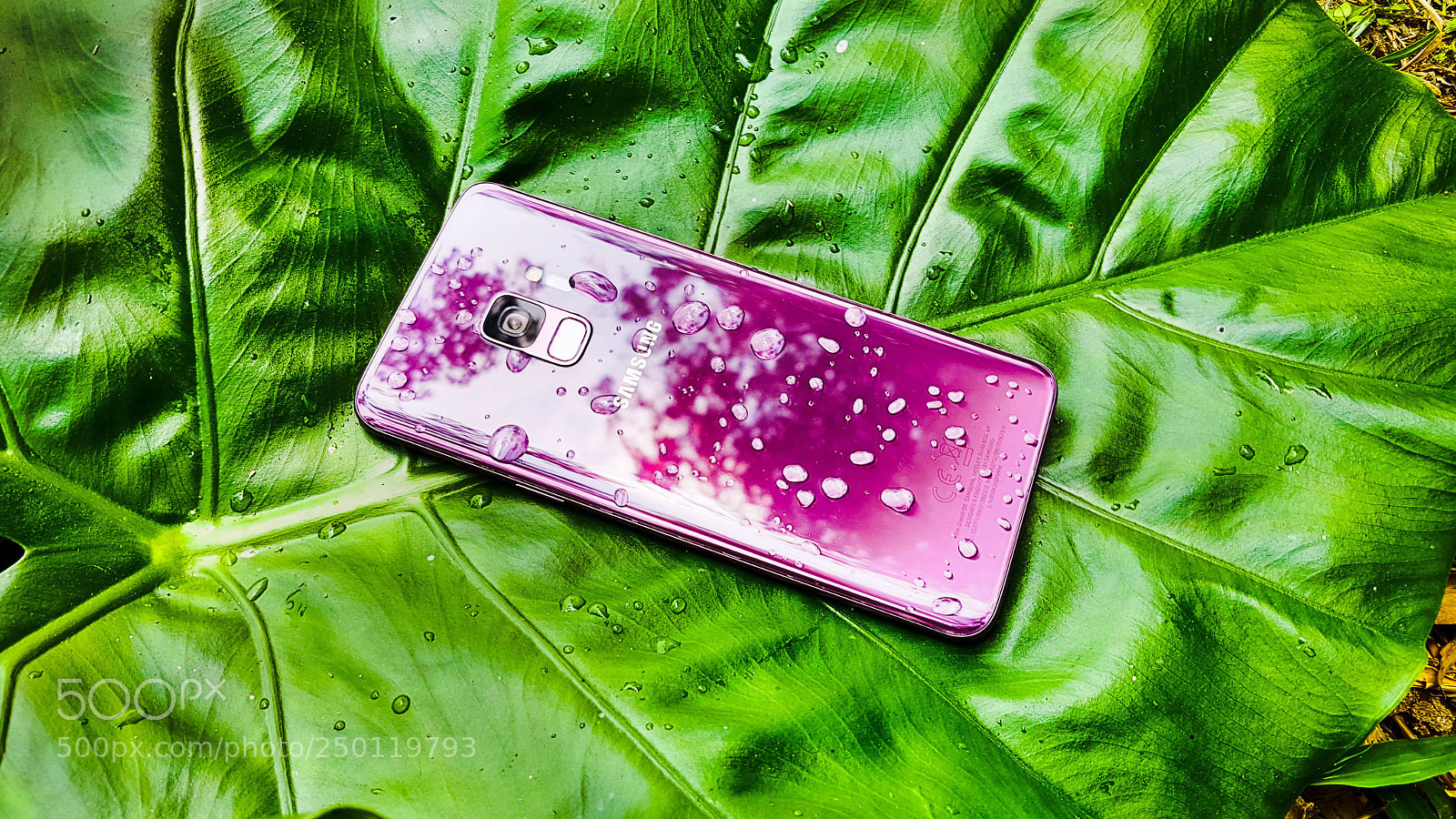 Samsung Galaxy S7 sample photo. Samsung galaxy s9 photography