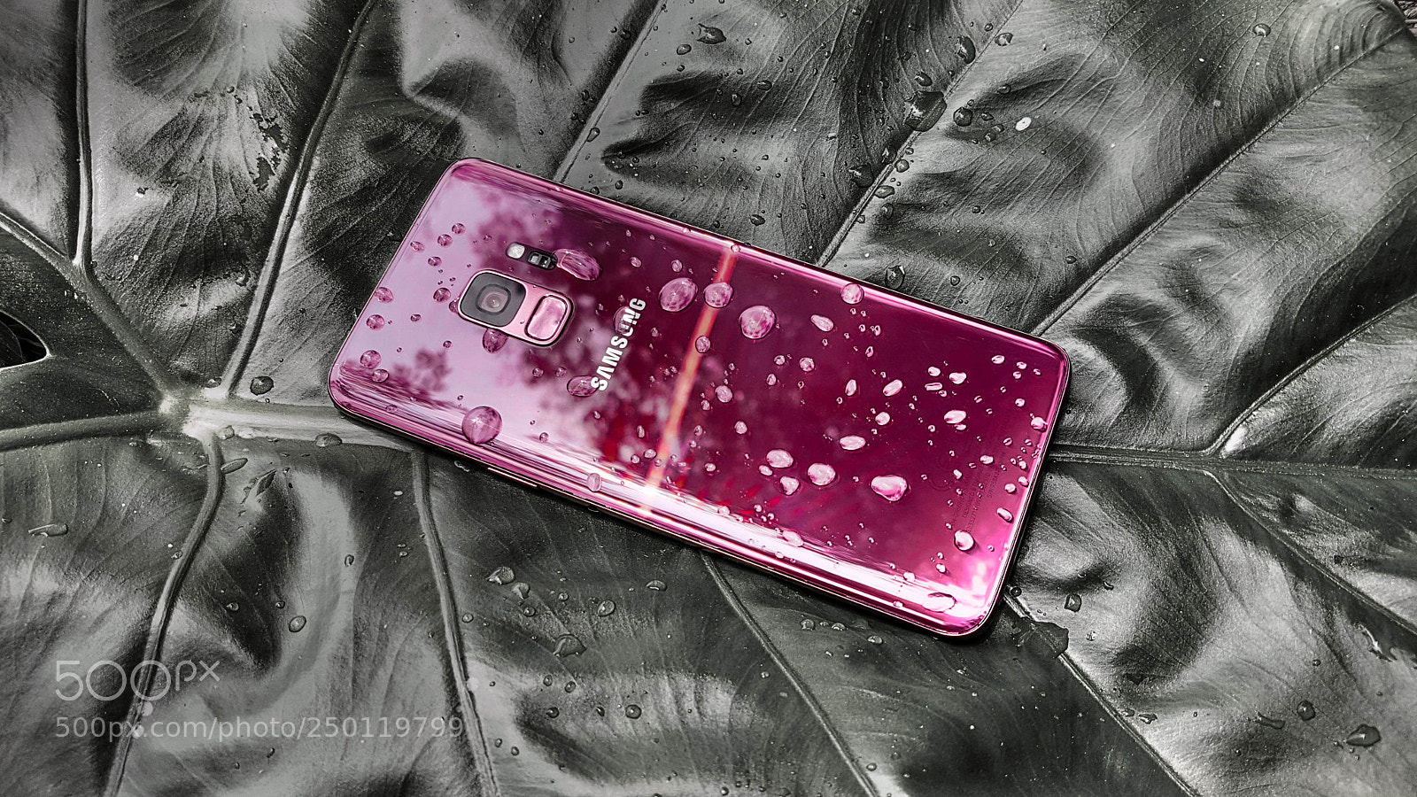 Samsung Galaxy S7 sample photo. Samsung galaxy s9 photography