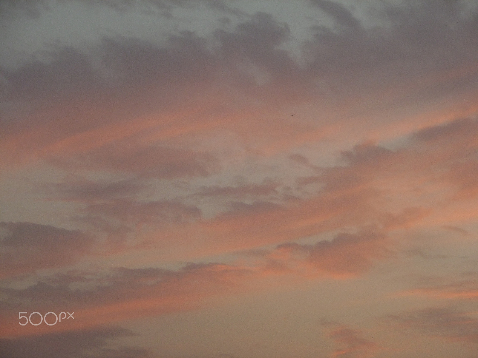 Samsung WB30F/WB31F/WB32F sample photo. Samsung camera pictures�������� photography