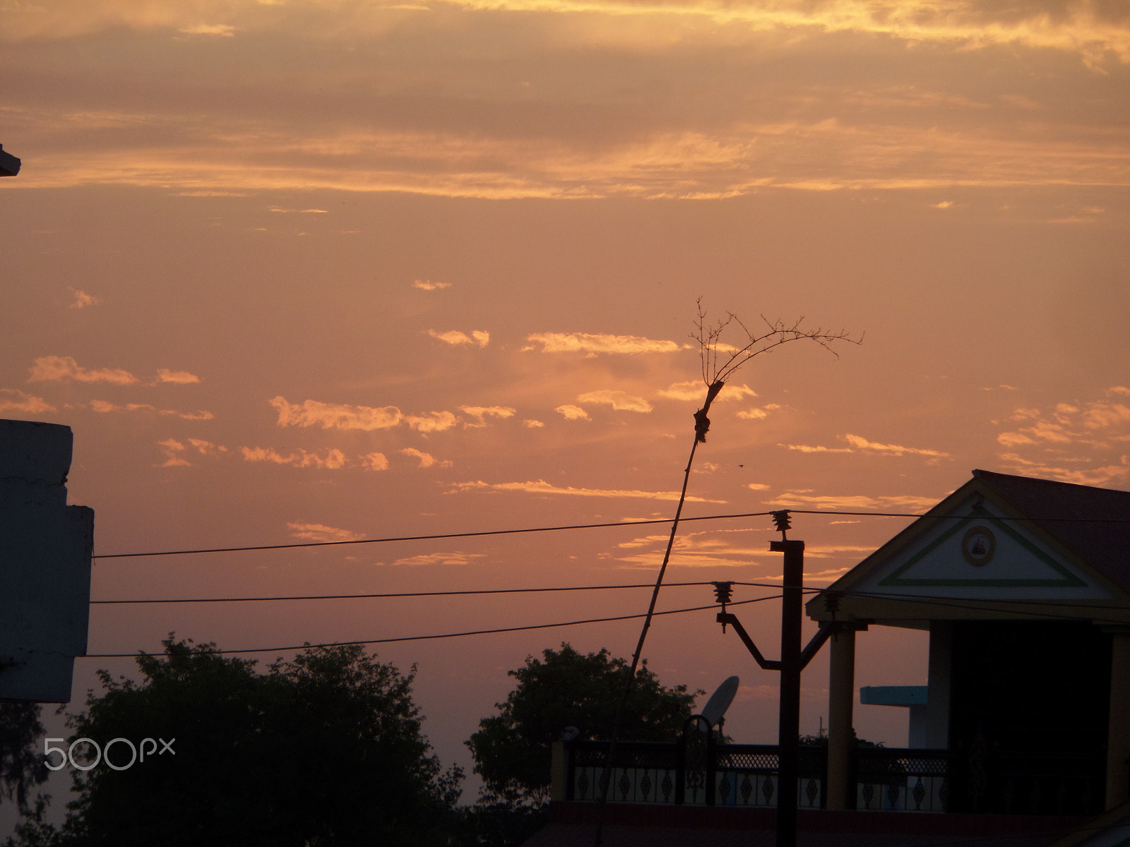 Samsung WB30F/WB31F/WB32F sample photo. Samsung camera pictures�������� photography