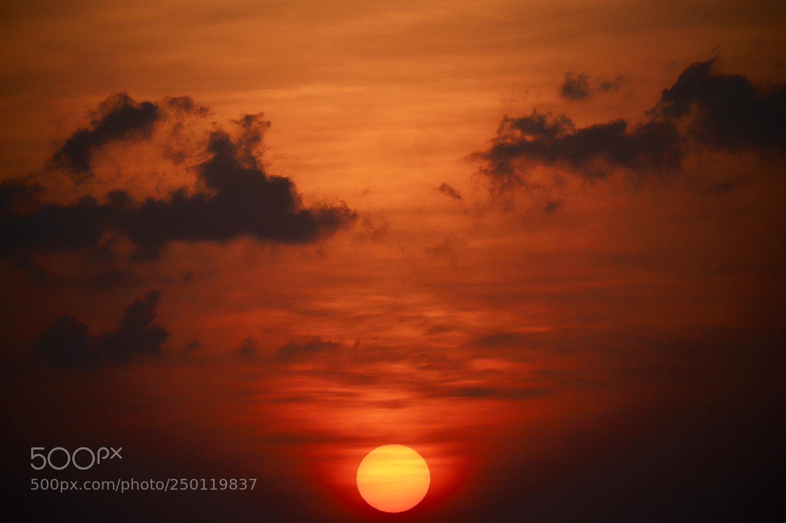Canon EOS 6D Mark II sample photo. Untitled photography