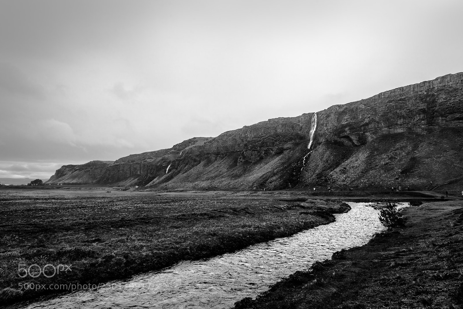 Nikon D4S sample photo. Little selfoss photography