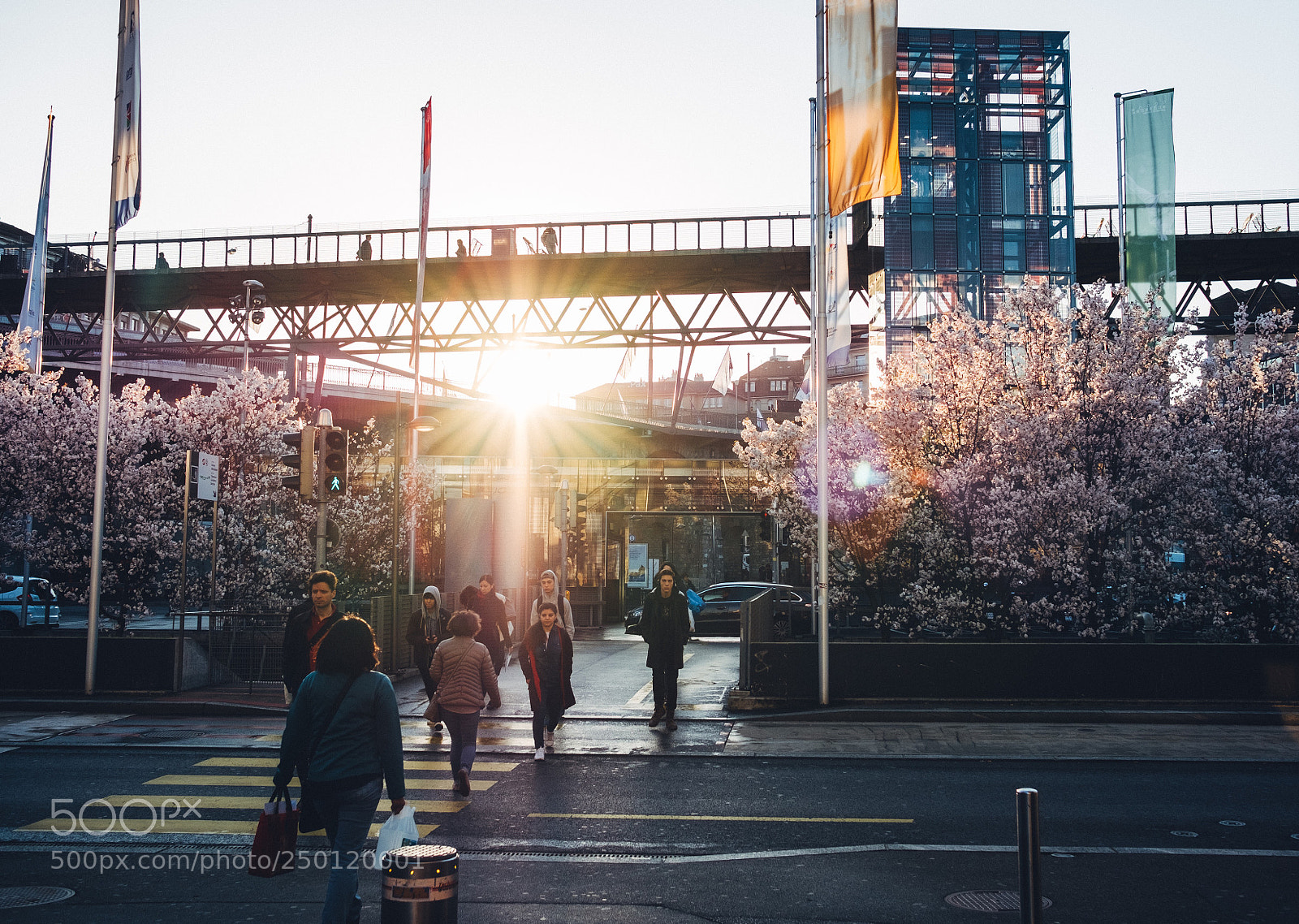 Fujifilm X-T2 sample photo. Morning rays photography