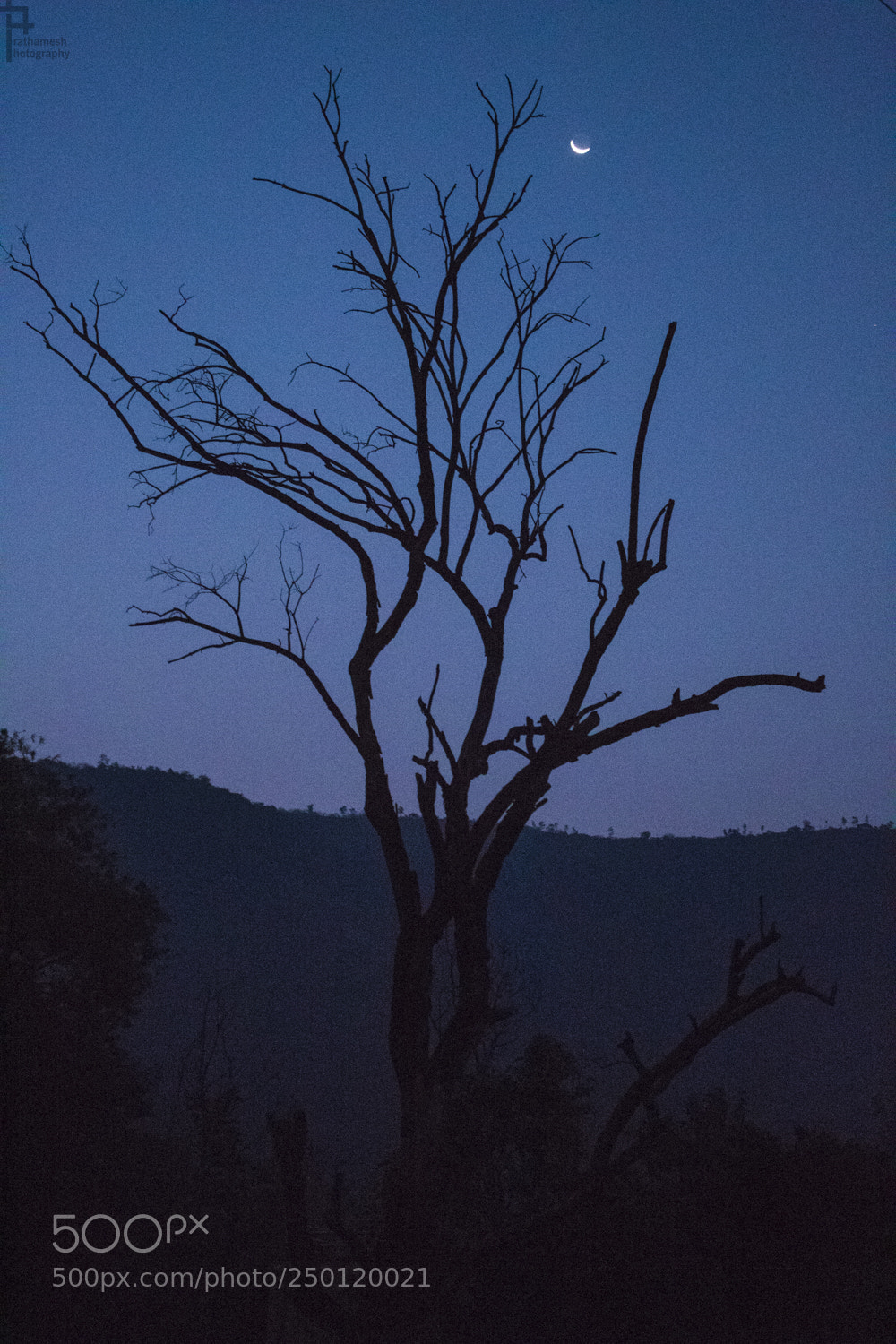 Canon EOS 1300D (EOS Rebel T6 / EOS Kiss X80) sample photo. Early mornings photography