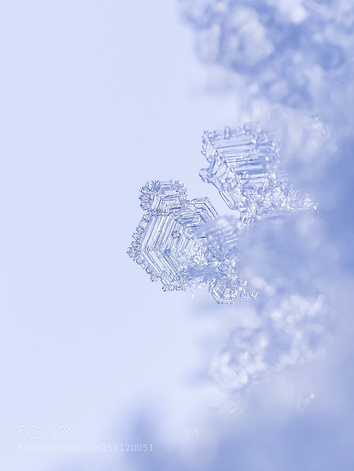 Sony a7R sample photo. Snow flake photography
