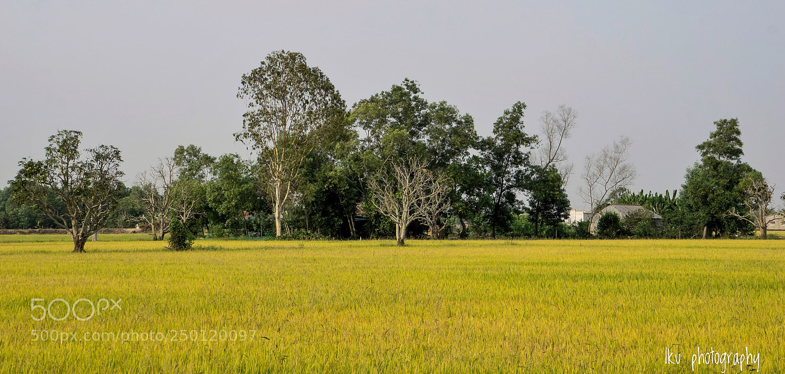 Sony a6000 sample photo. Peaceful countryside photography