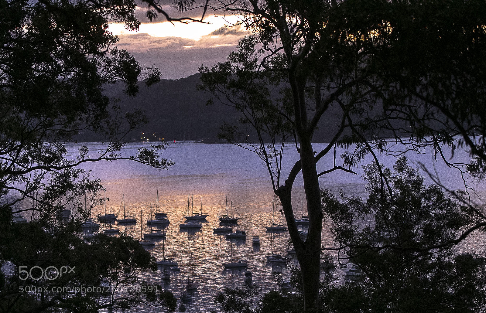 Canon EOS-1D X Mark II sample photo. View from the kitchen photography