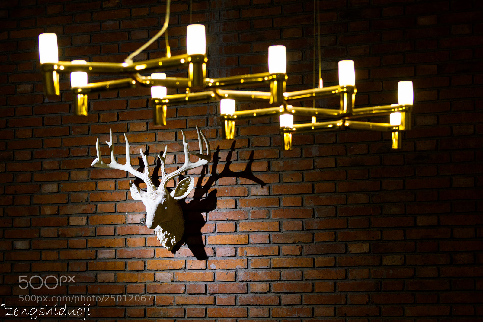 Nikon D500 sample photo. 灯.光 photography