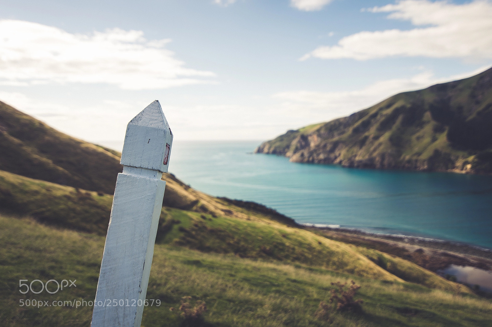 Nikon D4 sample photo. Cable bay pepin island photography