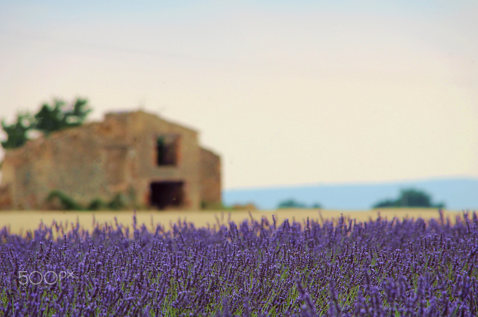 Nikon D90 sample photo. The old farmhouse photography