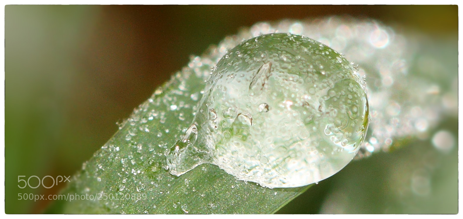 Canon EOS 70D sample photo. Frozen water drop photography
