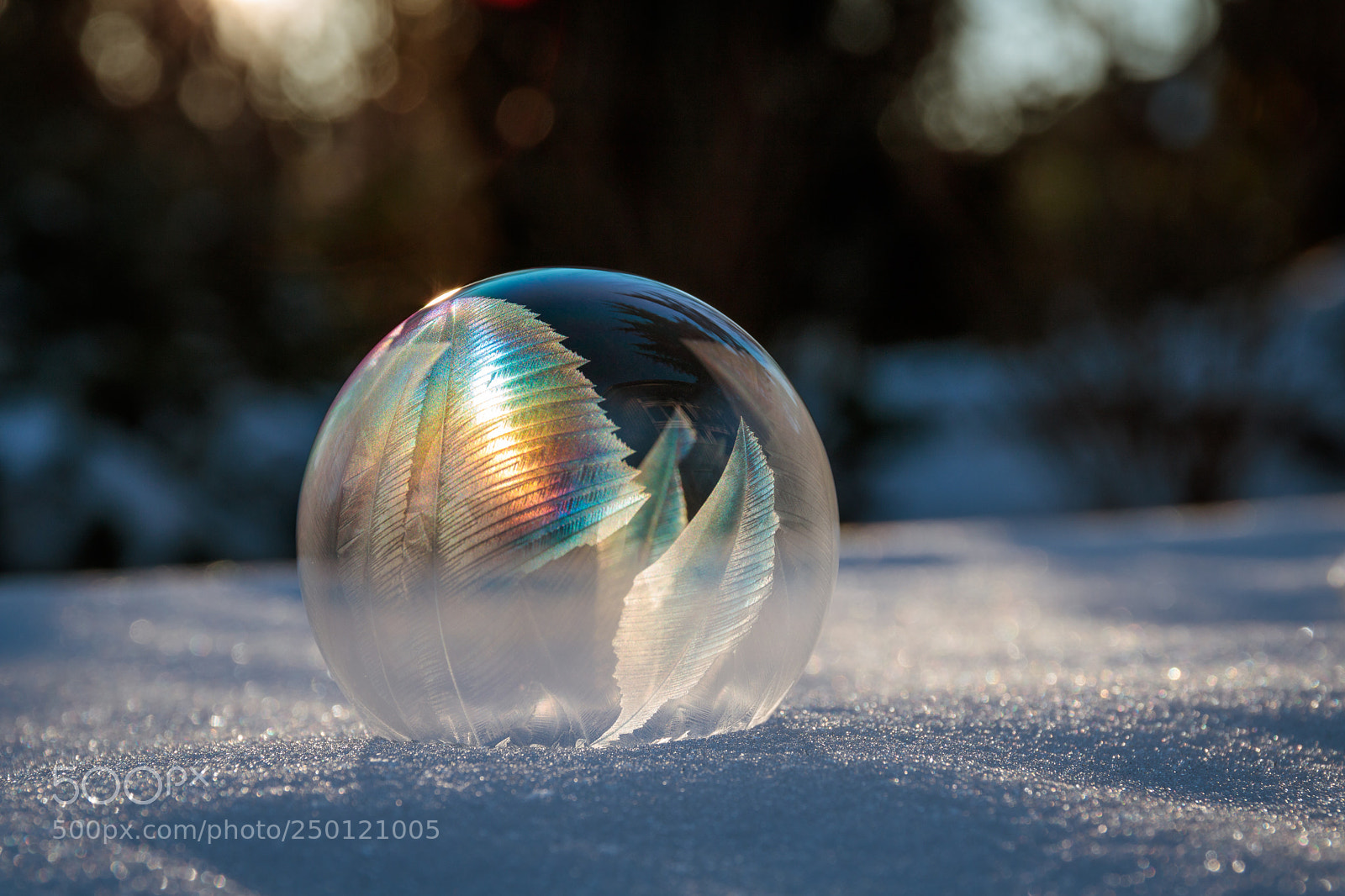 Canon EOS 760D (EOS Rebel T6s / EOS 8000D) sample photo. Rainbow ice feather photography