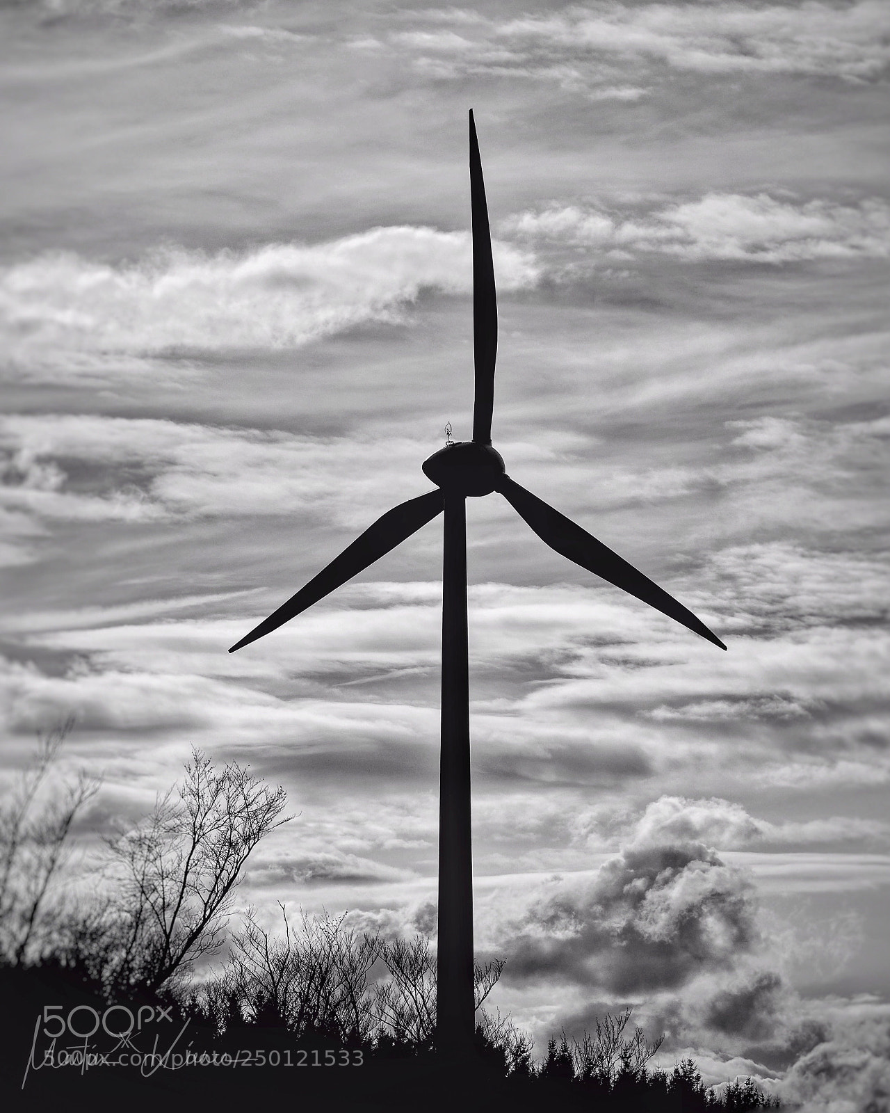 Olympus OM-D E-M1 Mark II sample photo. It's windy no, it's photography