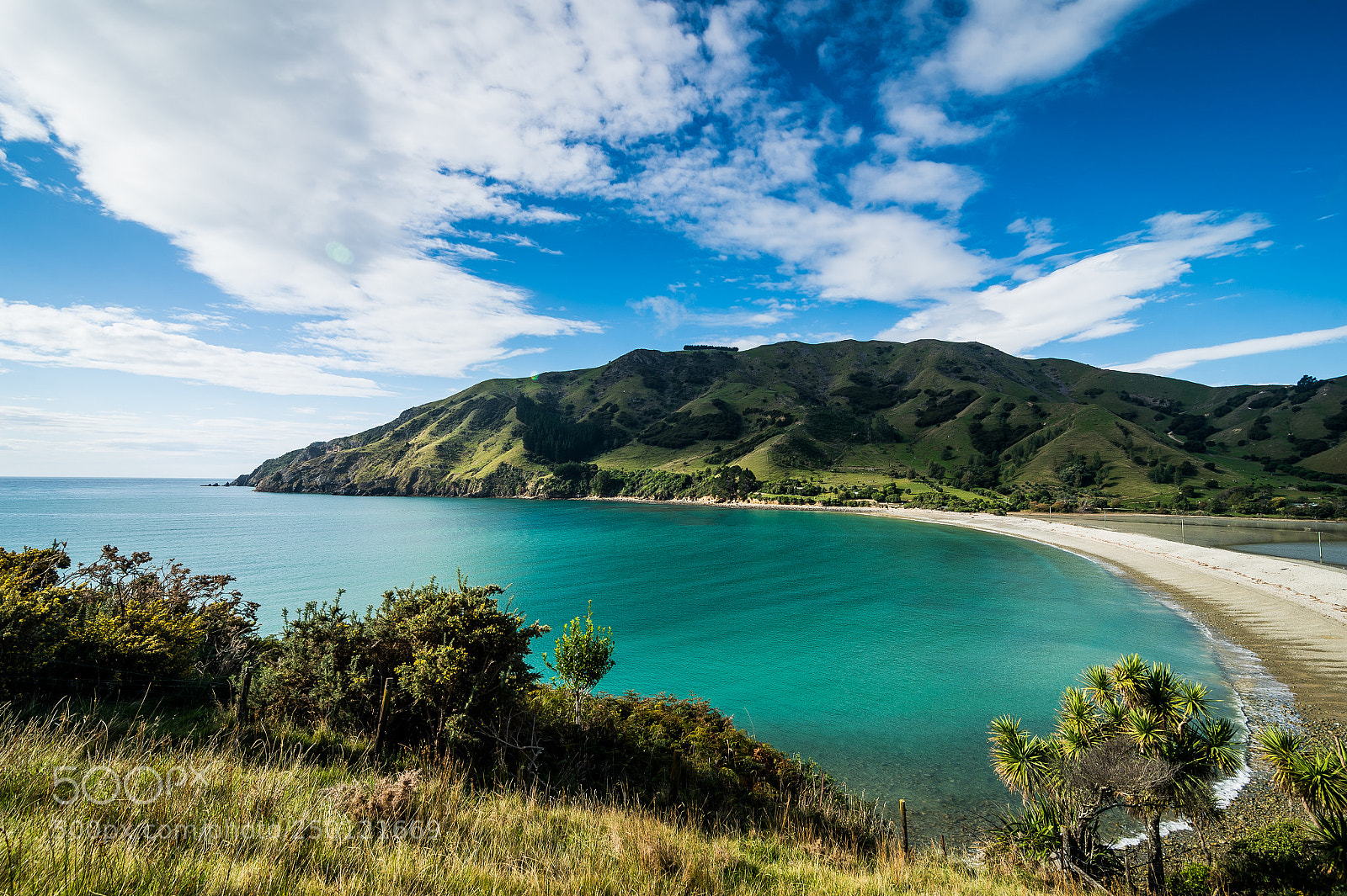 Nikon D4 sample photo. Cable bay pepin island photography