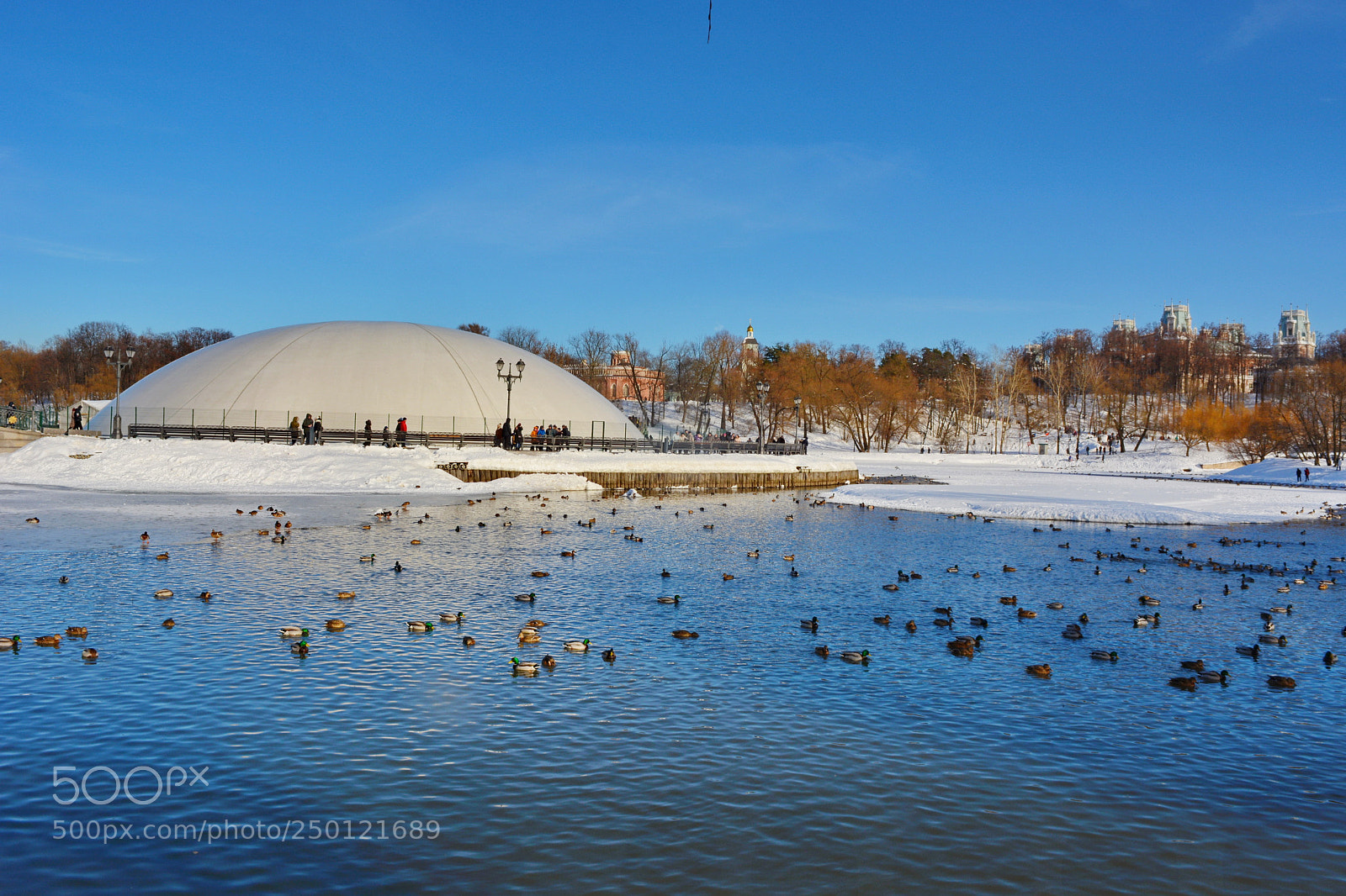 Nikon D5200 sample photo. The pond in the photography
