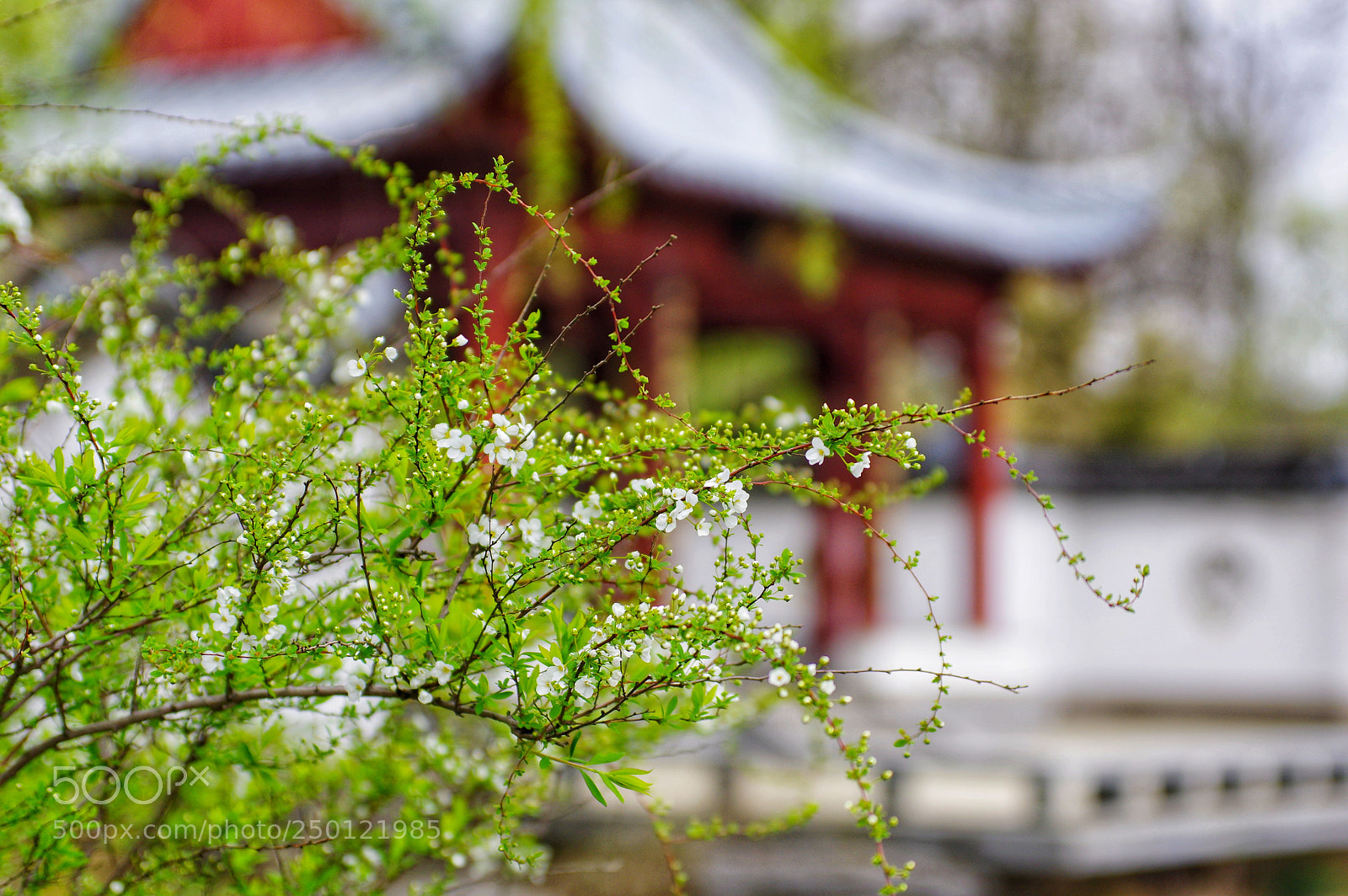 Pentax K-3 II sample photo. Untitled photography