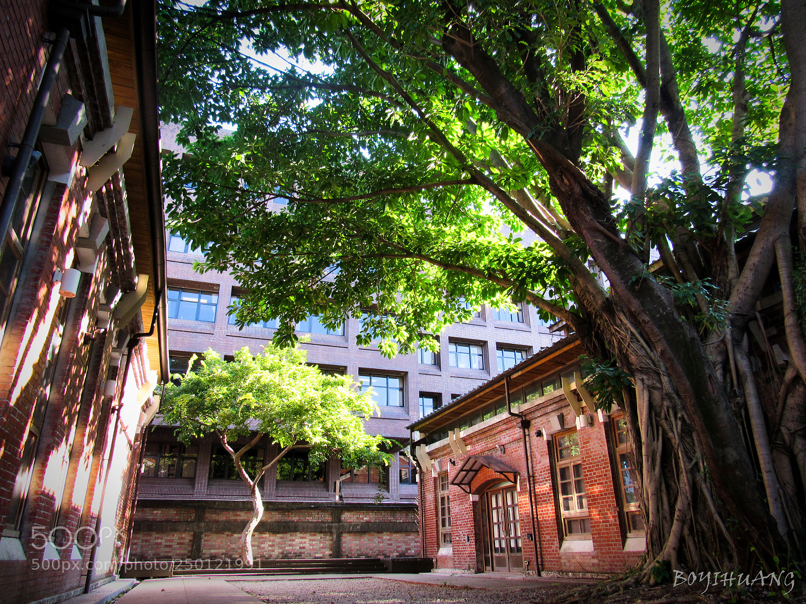 Canon PowerShot SX520 HS sample photo. 華山文創│建築光影 photography