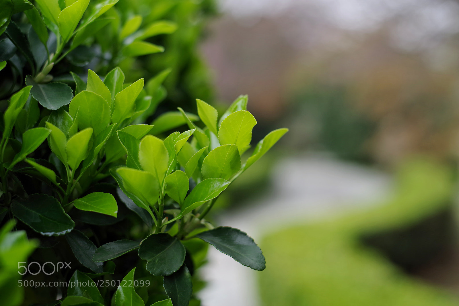 Pentax K-1 sample photo. Untitled photography