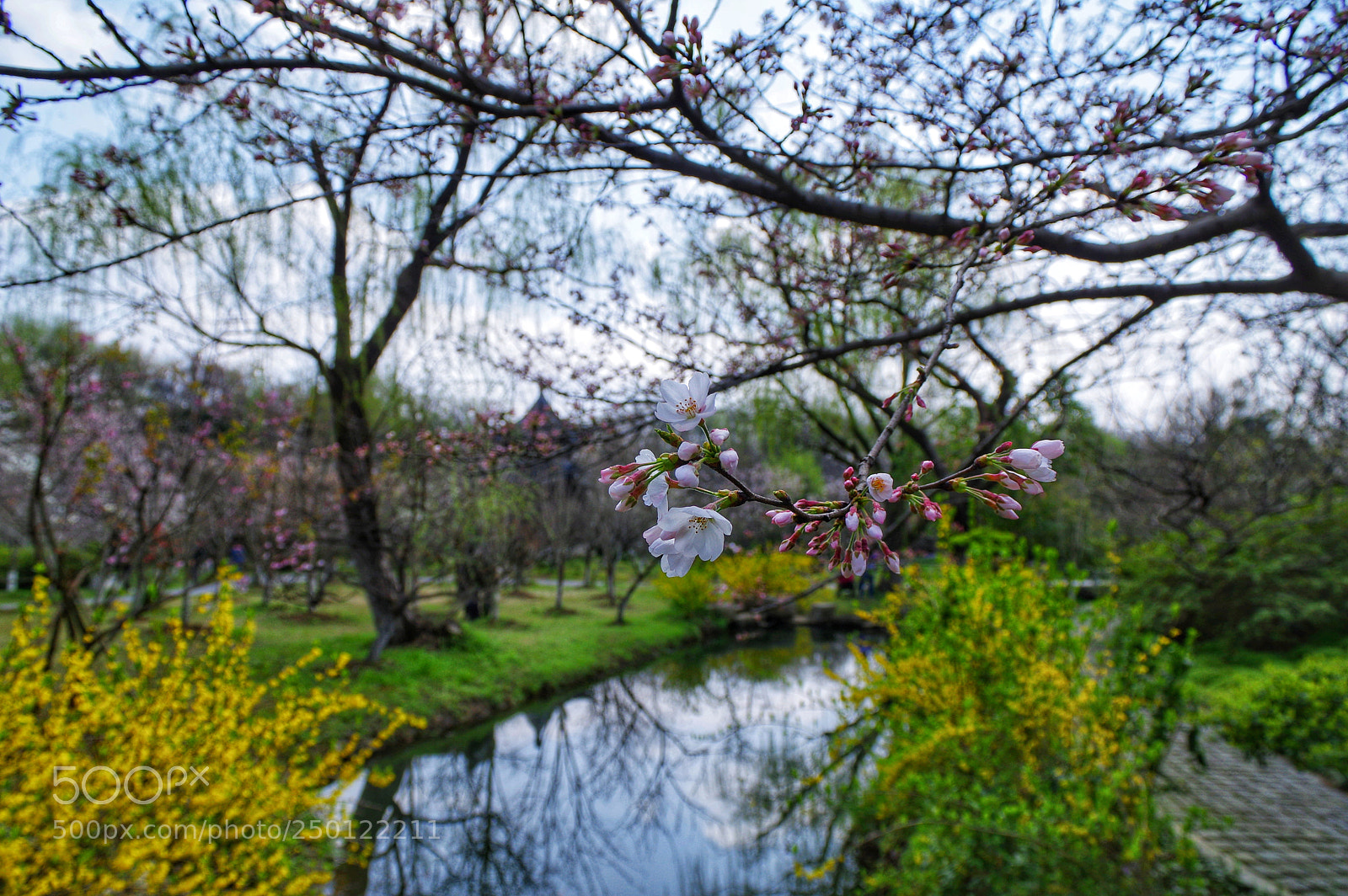 Pentax K-3 II sample photo. Untitled photography