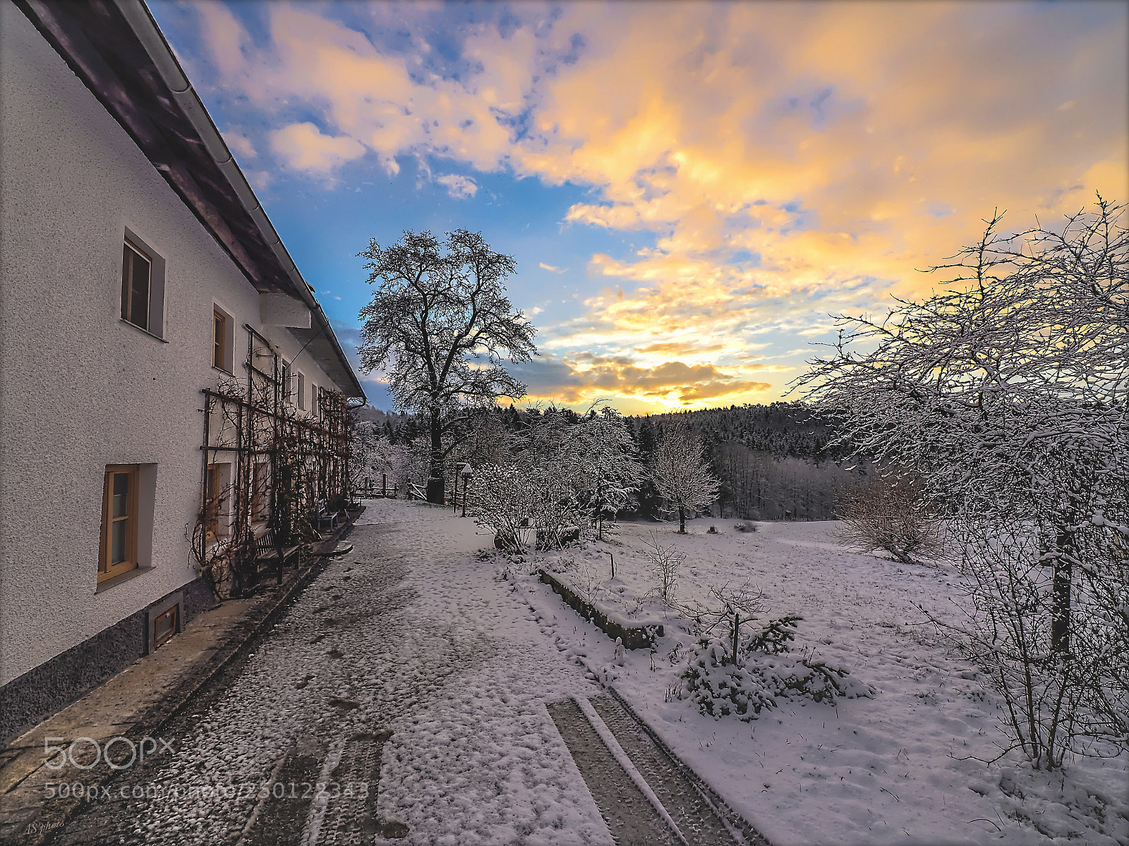 Olympus OM-D E-M1 sample photo. The winter is back photography